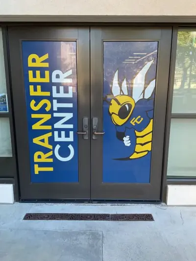 Window Graphics Photo